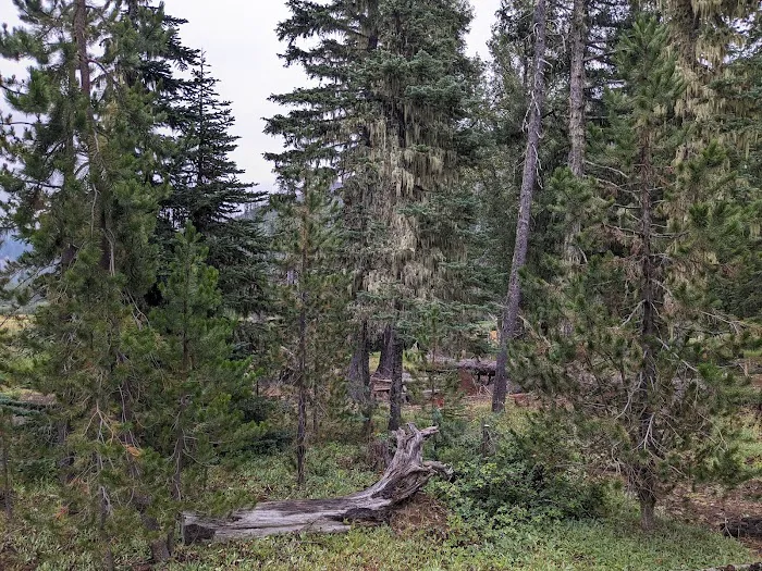 Lost Lake Campground Picture 9