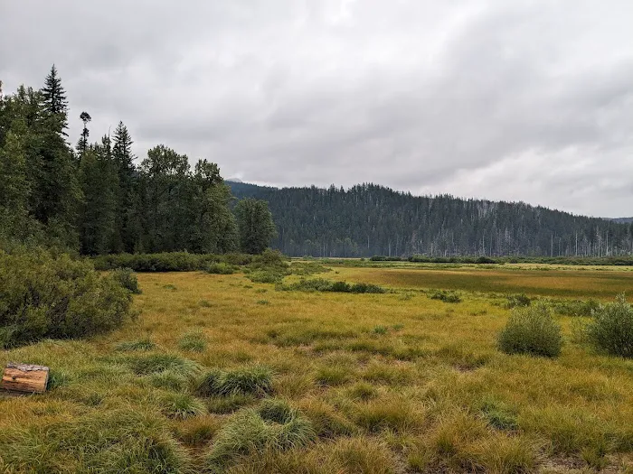 Lost Lake Campground Picture 5