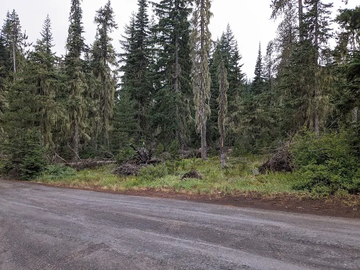 Lost Lake Campground Picture 6