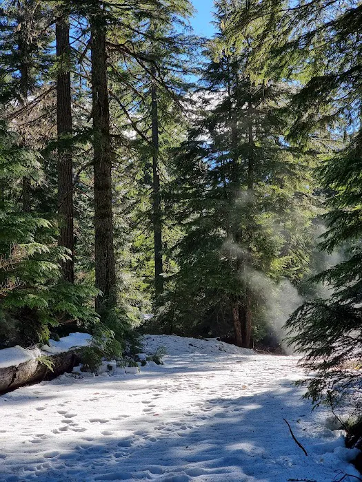 Coldwater Cove Campground Picture 6