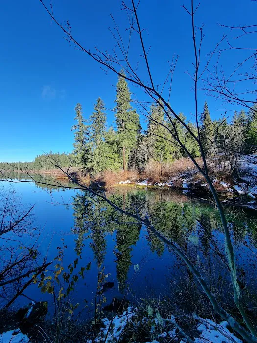 Coldwater Cove Campground Picture 8