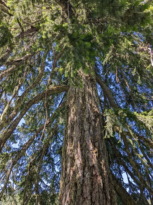 Coldwater Cove Campground Picture 7