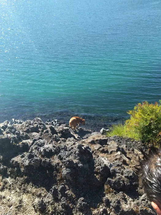 Coldwater Cove Campground Picture 9