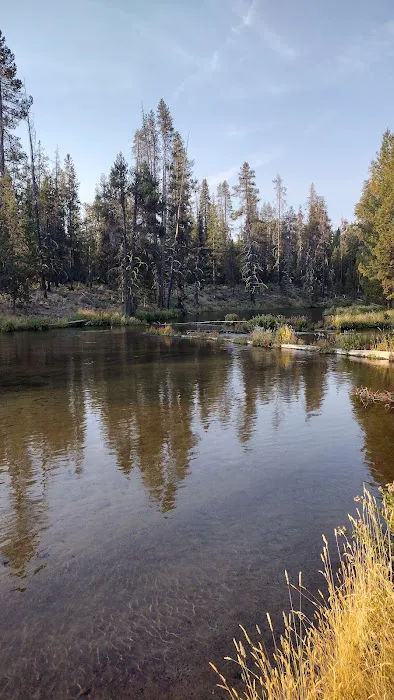 Coldwater Cove Campground Picture 1