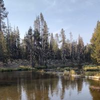 Coldwater Cove Campground ico