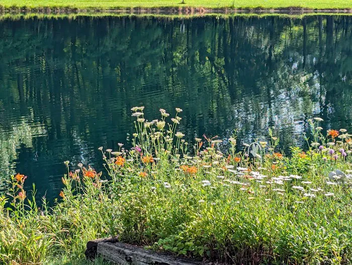 Four Seasons Mobile Home Park Picture 7