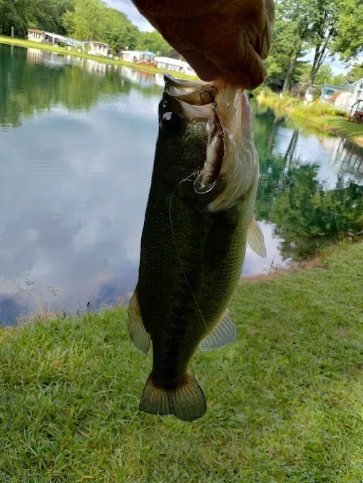 Four Seasons Mobile Home Park Picture 2