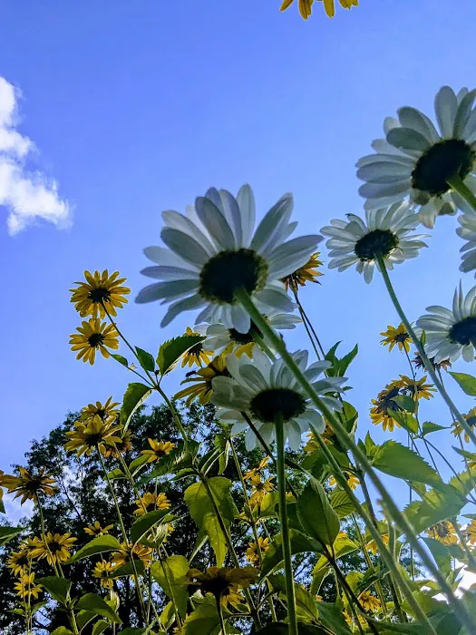 Four Seasons Mobile Home Park Picture 6