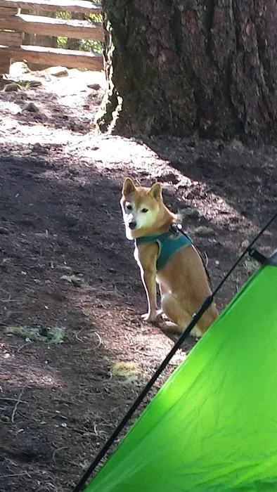 Ice Cap Creek Day Use Area Picture 6