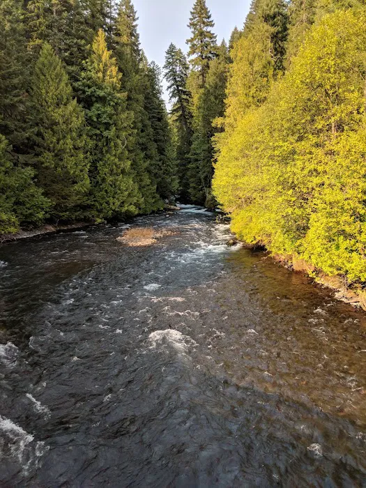 Ice Cap Creek Day Use Area Picture 7