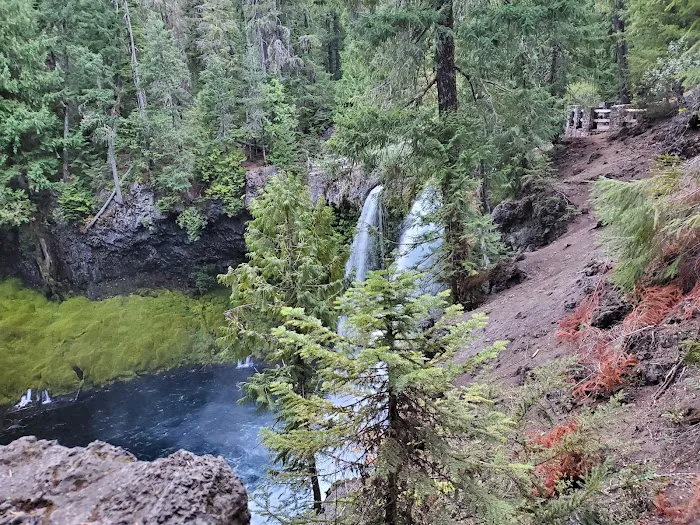 Ice Cap Creek Day Use Area Picture 5