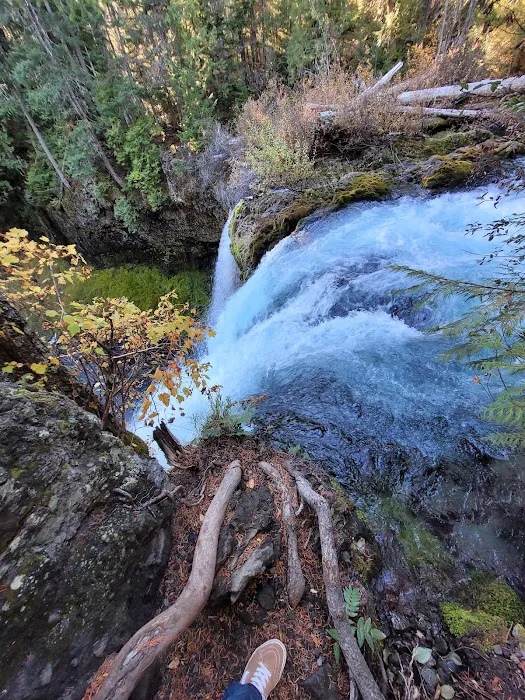 Ice Cap Creek Day Use Area Picture 3