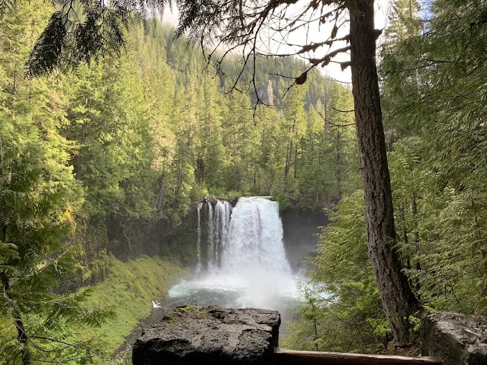 Ice Cap Creek Day Use Area Picture 8