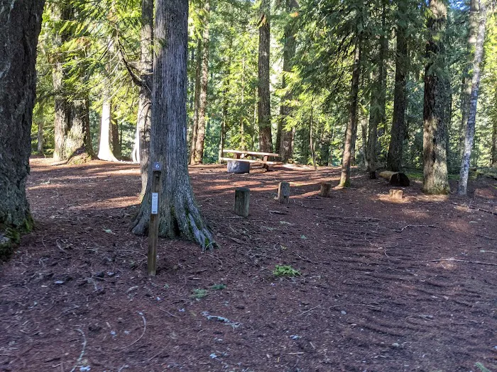 Ice Cap Creek Day Use Area Picture 2