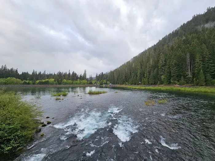 Ice Cap Creek Day Use Area Picture 9