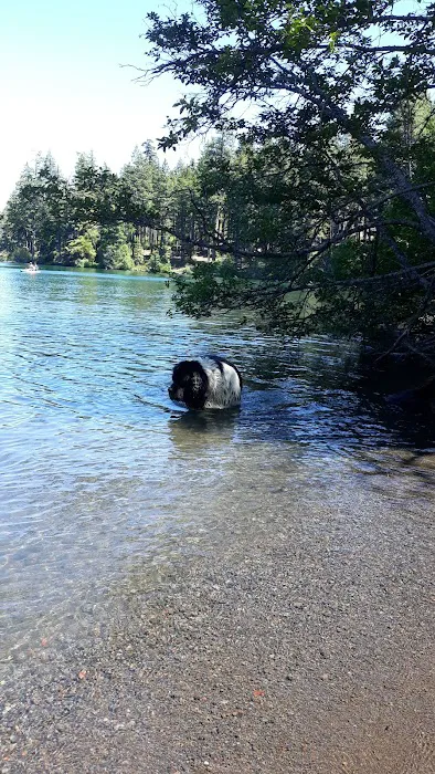 Link Creek Campground Picture 9