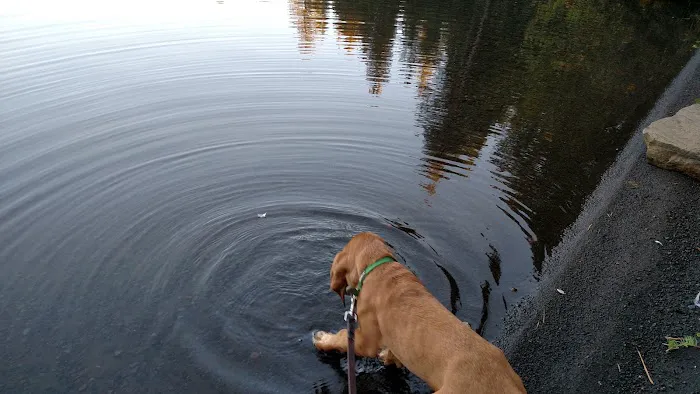 Link Creek Campground Picture 1