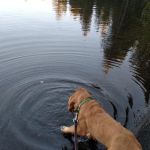 Link Creek Campground