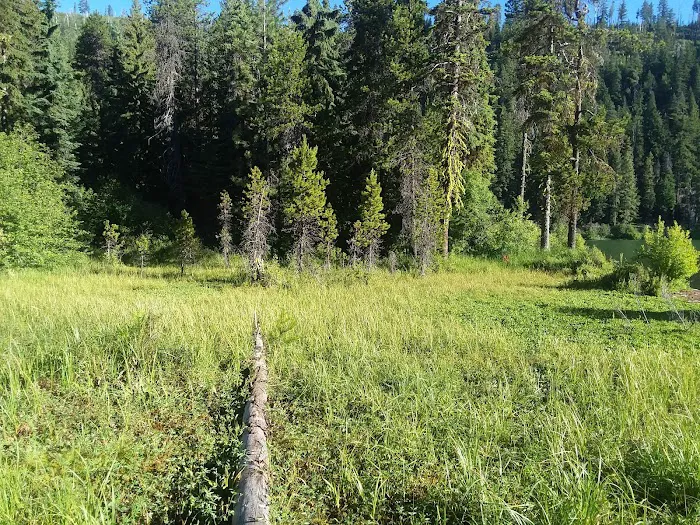 Link Creek Campground Picture 6