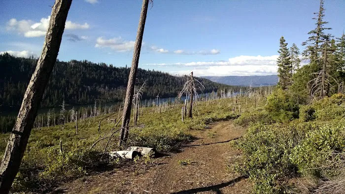 Scout Lake Campground Picture 4