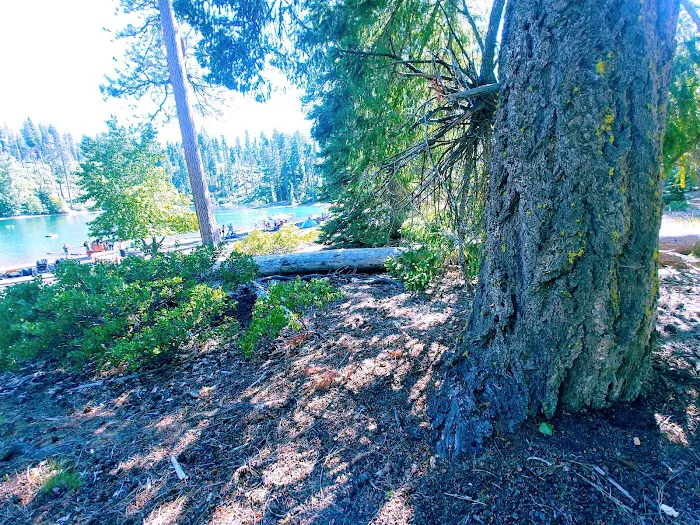 Scout Lake Campground Picture 8