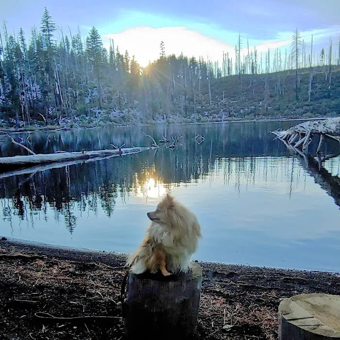 Scout Lake Campground Picture 6