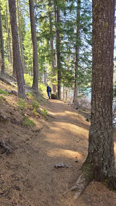 South shore campground Picture 4