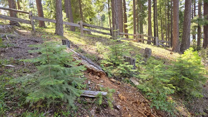 South shore campground Picture 2