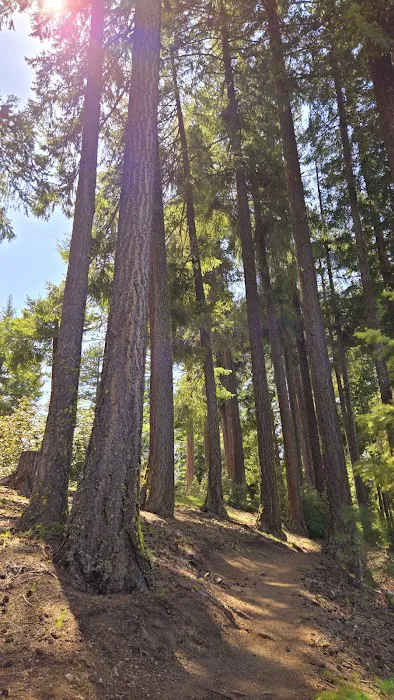 South shore campground Picture 6