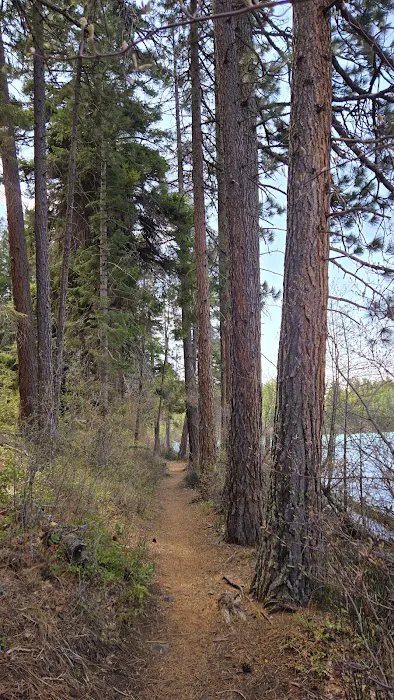 South shore campground Picture 5