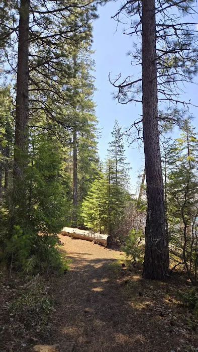 South shore campground Picture 8