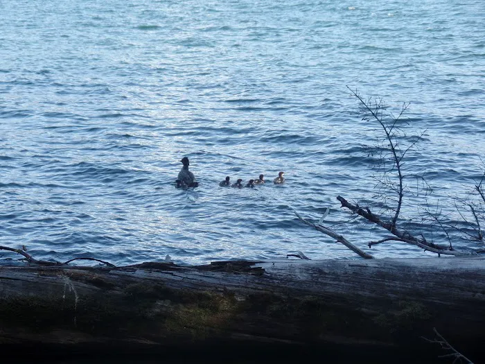 South Shore Boating Site Picture 4
