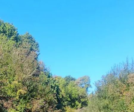 South Shore Boating Site