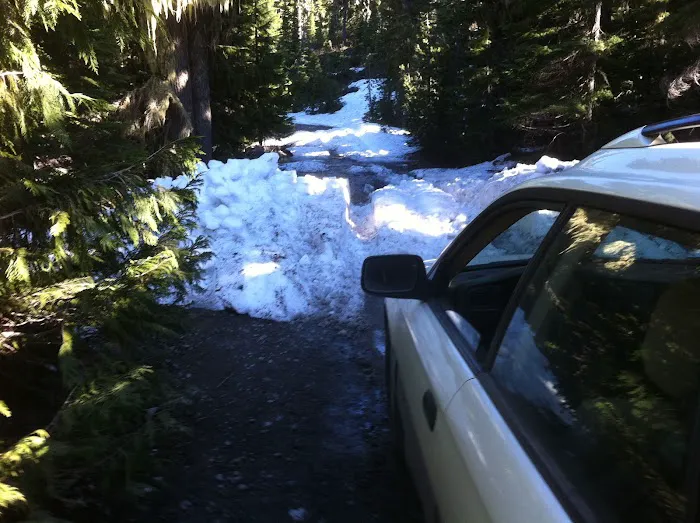 Camp Ten (Olallie Lake) Campground Picture 10