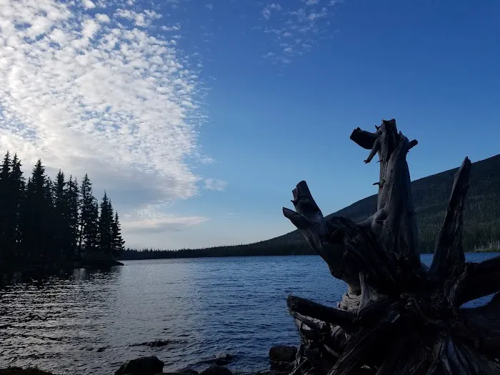 Camp Ten (Olallie Lake) Campground Picture 6