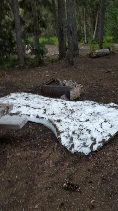 Camp Ten (Olallie Lake) Campground Picture 7