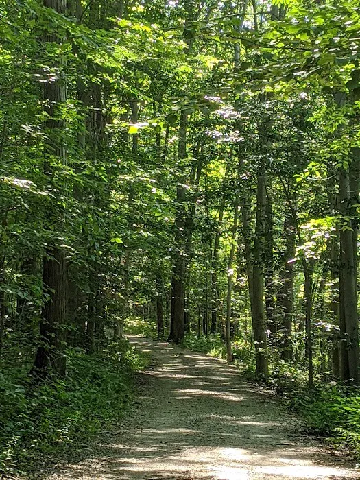 Eagle Mobile Homes Park Picture 3