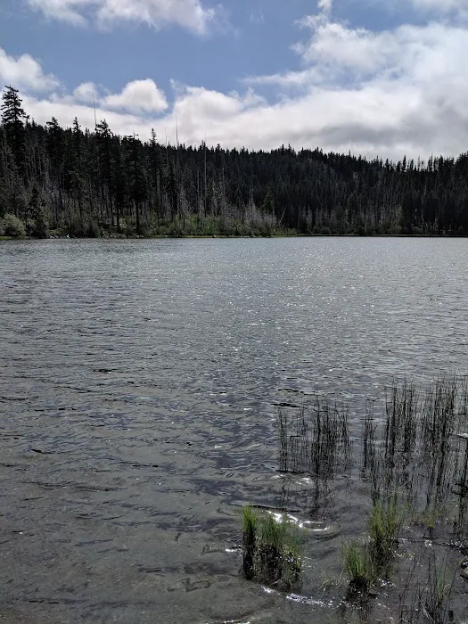 Trout Lake Campground Picture 1