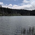 Trout Lake Campground