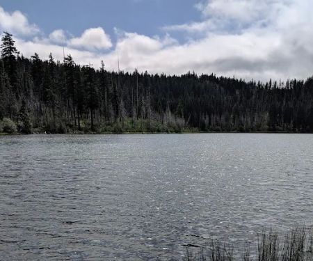 Trout Lake Campground