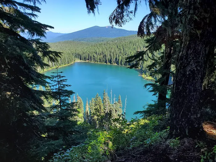 Lower Lake Campground Picture 3