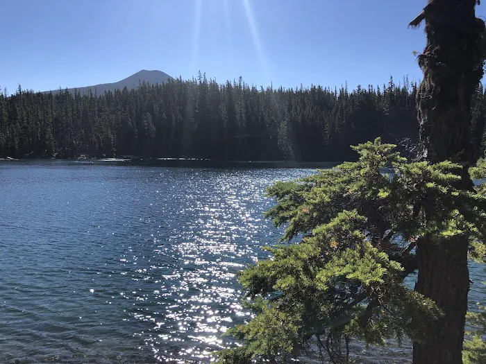 Lower Lake Campground Picture 4