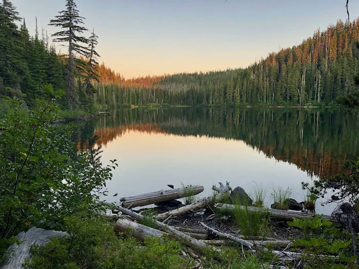 Lower Lake Campground Picture 2