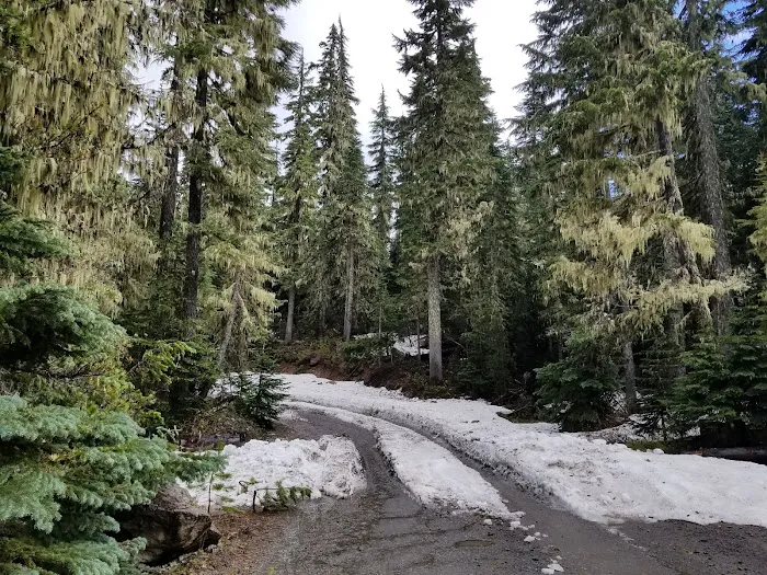 Lower Lake Campground Picture 1