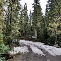 Lower Lake Campground ico