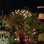 Mentor Green Mobile Home Park