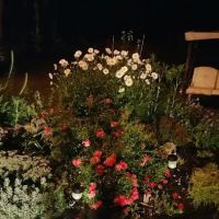 Mentor Green Mobile Home Park ico