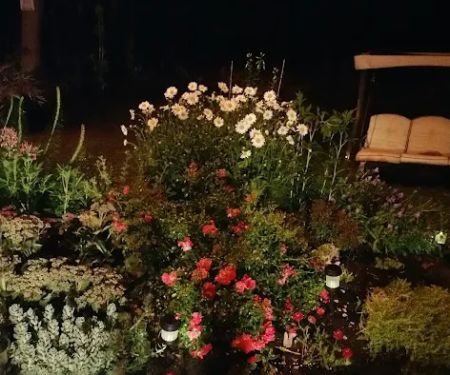 Mentor Green Mobile Home Park