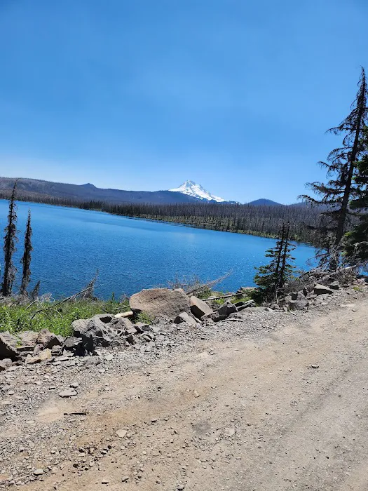 Olallie Meadow Campground Picture 7