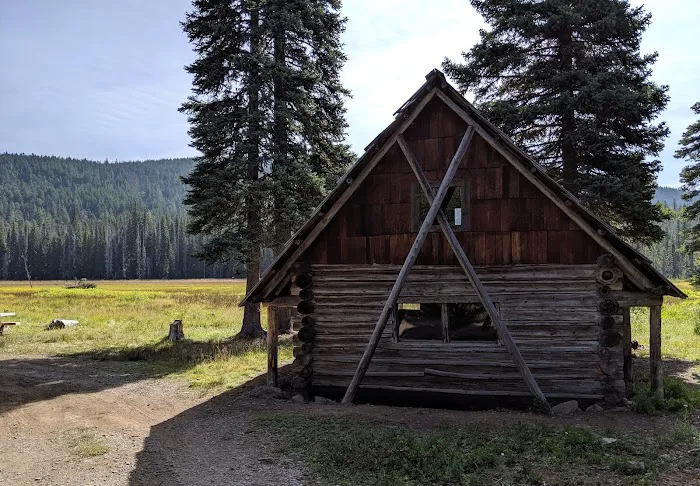Olallie Meadow Campground Picture 5